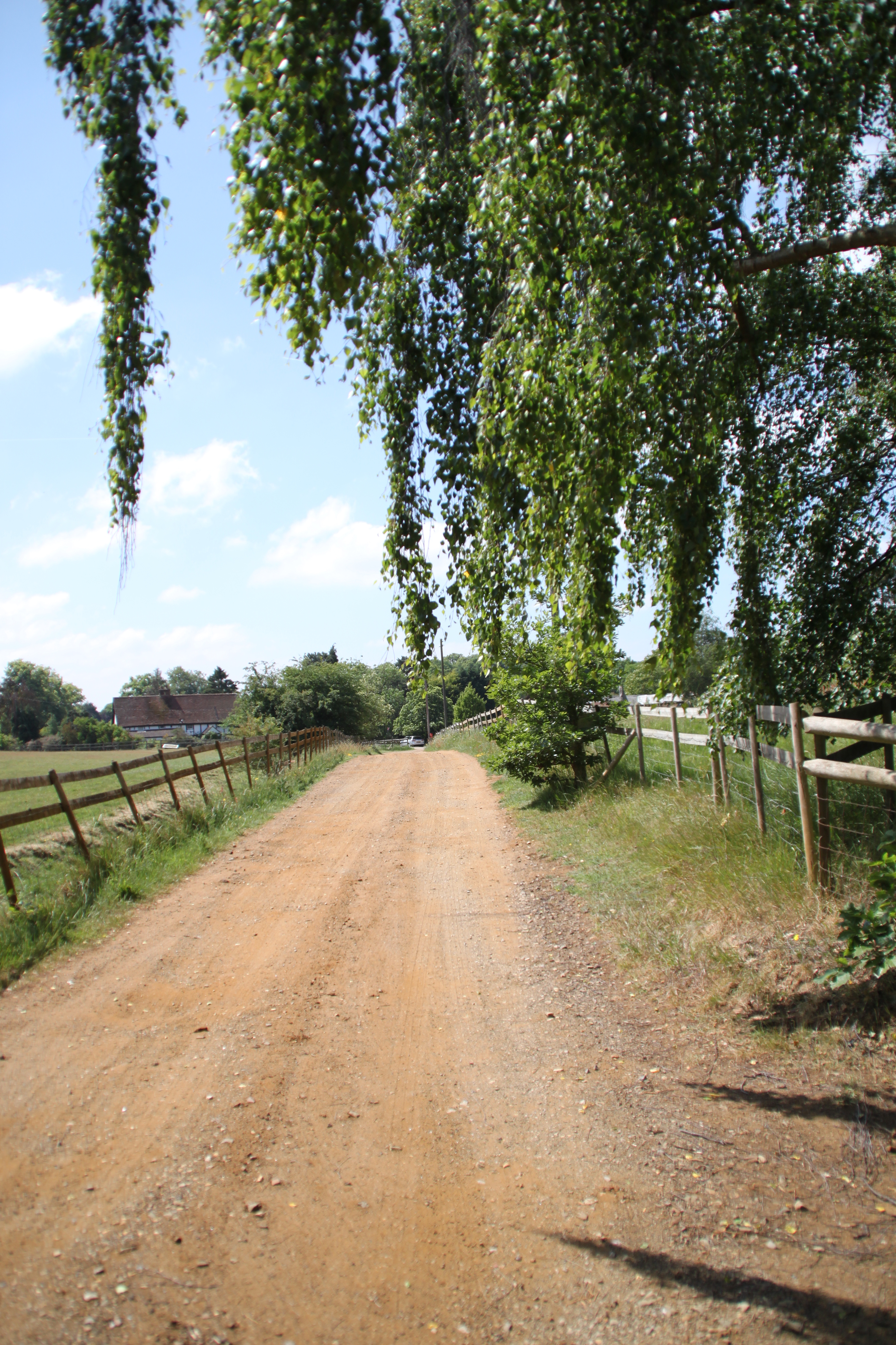 The tree-lined driveway approach to the practice