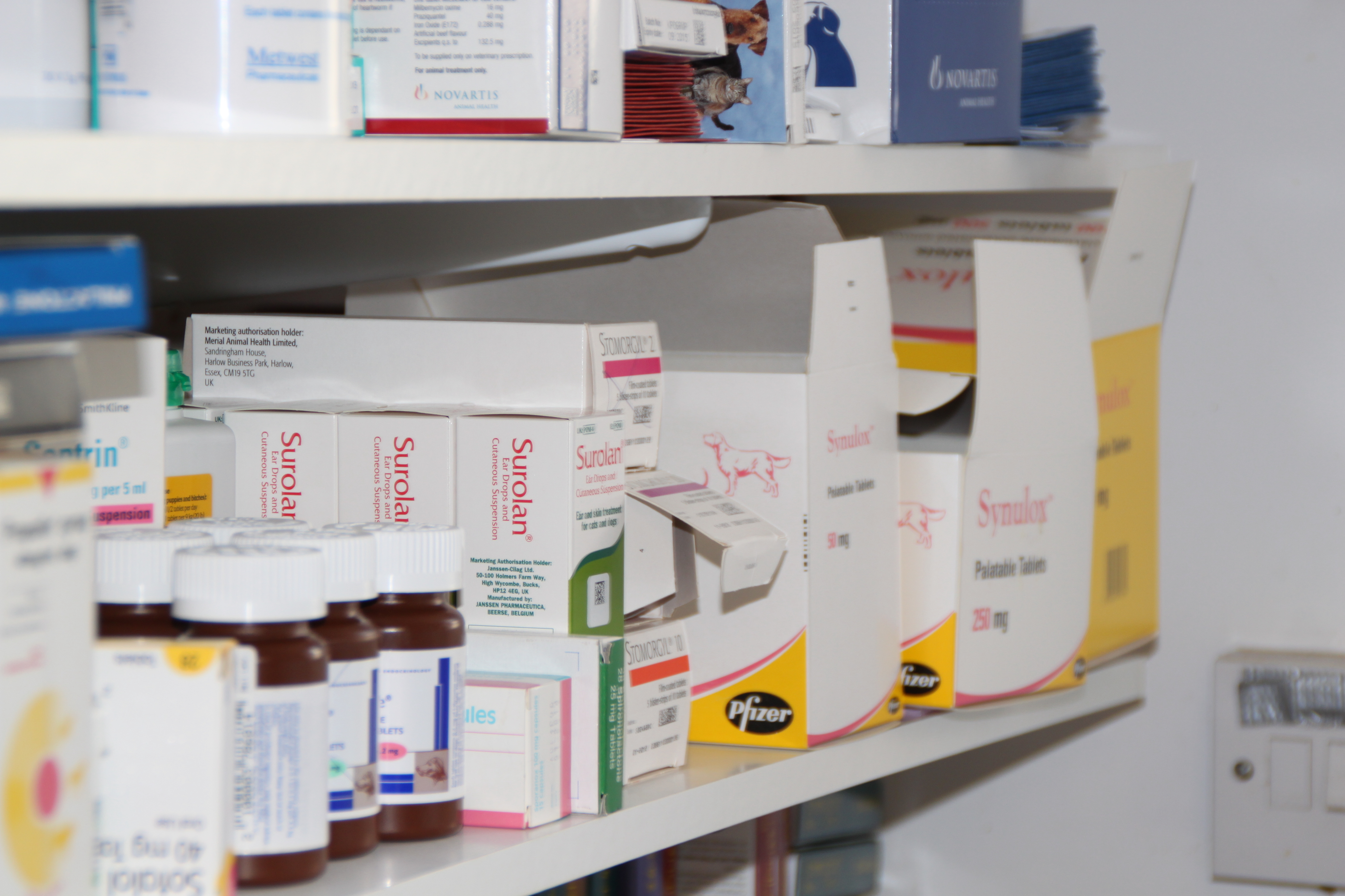 Veterinary medicines on our dispensary shelves