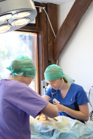 Our fully equipped operating theatre