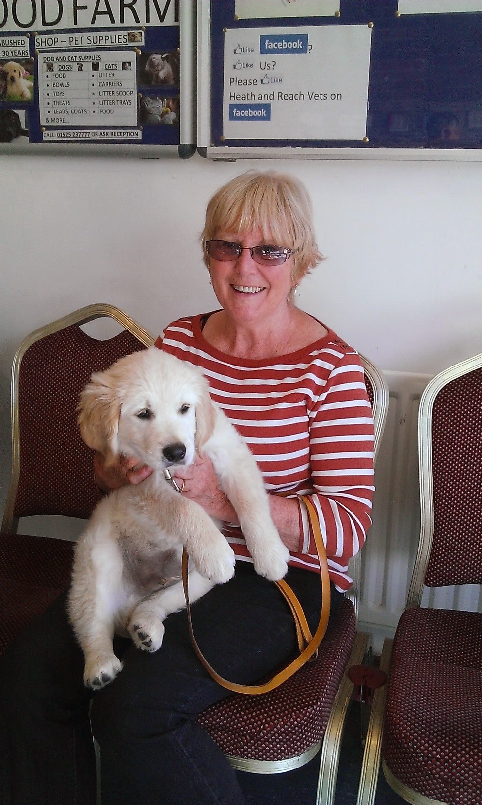 A puppy in our waiting room