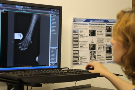 Digital radiography